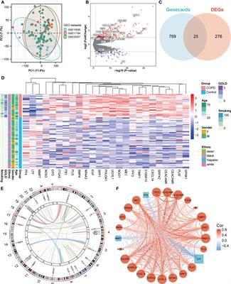 Anoikis resistance of small airway epithelium is involved in the progression of chronic obstructive pulmonary disease